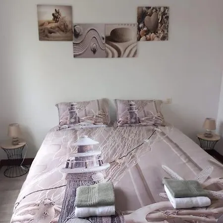 Fleur De Sel D Oleron 3 Holiday home